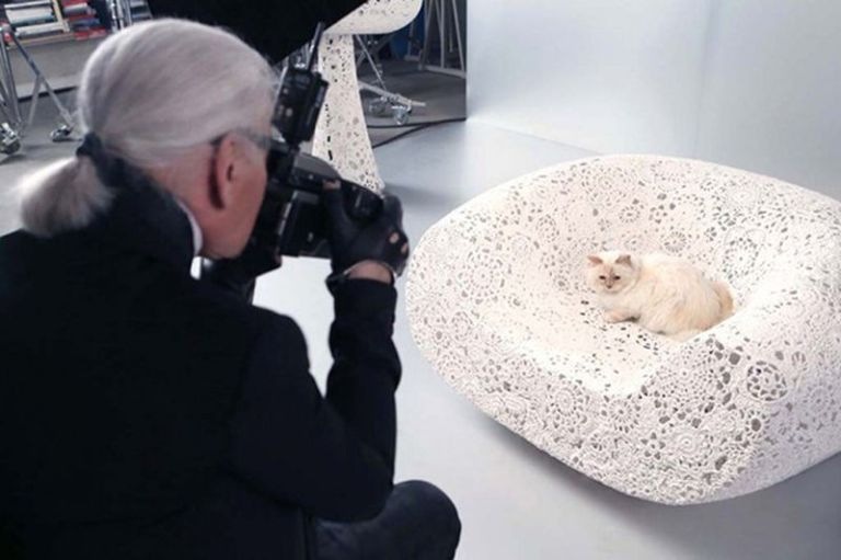 Наследство дизайнера Карла Лагерфельда (около 200 млн евро) досталось его кошке