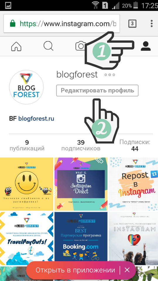 Blogforest-Instagram-profile-delete-11